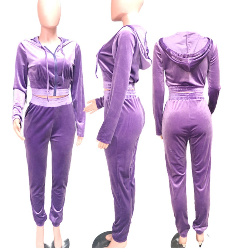 Two Piece Tracksuit Women Velvet Hoodie Crop Top Sweatshirt and Pants Esg16122